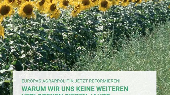 GAP_Hintergrund_Foto.JPG